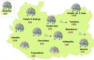 El tiempo en Ciudad Real: seguirá lloviendo